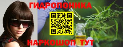амф Бийск