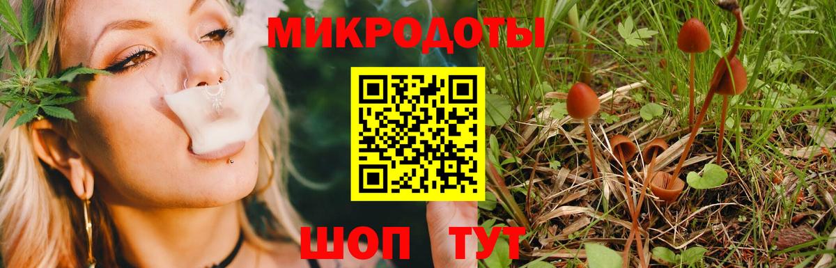 купить наркотик  Вход с VPN  Ковров  Псилоцибиновые грибы ЛСД  Галлюциногенные грибы Cubensis 